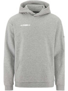 WSC Erzgebirge Oberwiesenthal Hoodie Herren grau